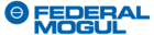 Federal-Mogul Friedberg GmbH-logo